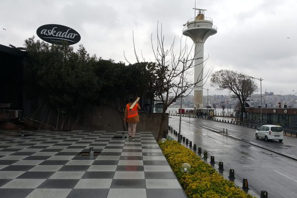 katibim garden seçilmiş (5)
